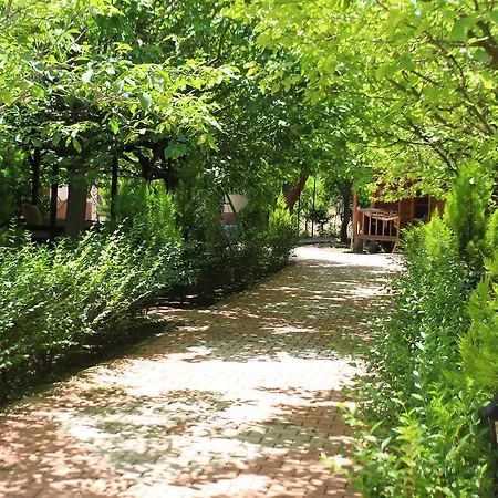 Li̇kya Apart * Cirali